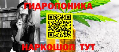 Альфа ПВП Малгобек