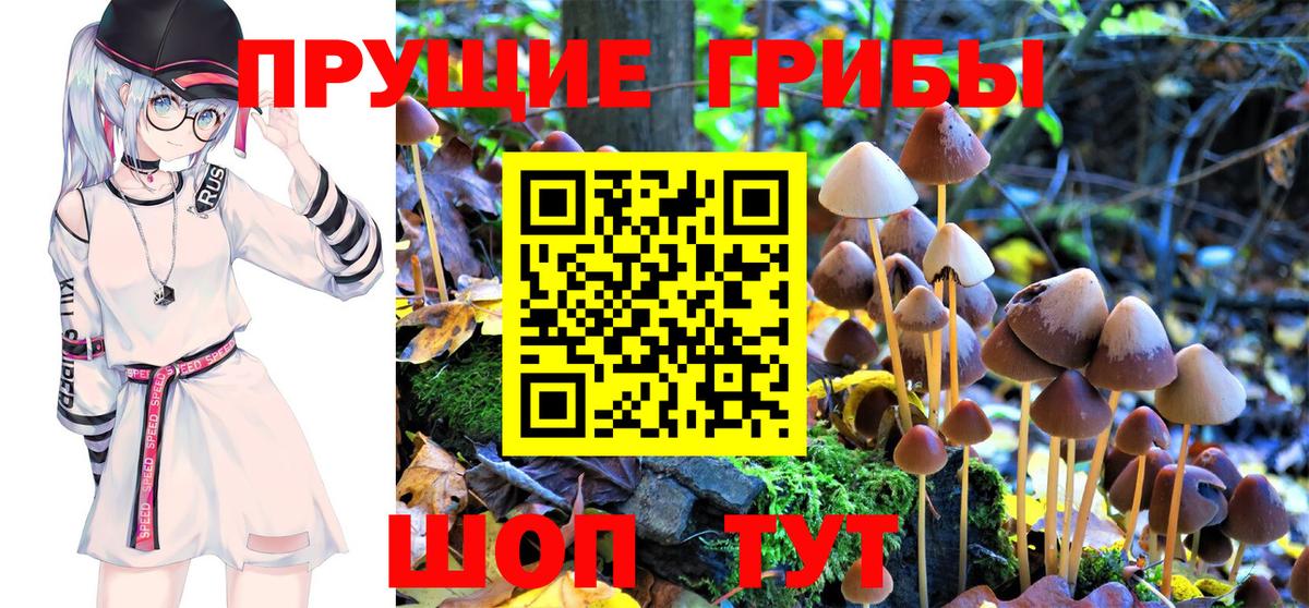 Галлюциногенные грибы ЛСД Сочи