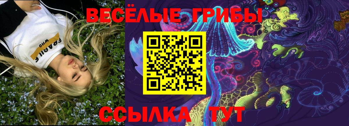 Сочи  купить закладку  Вход с VPN  Галлюциногенные грибы Cubensis 